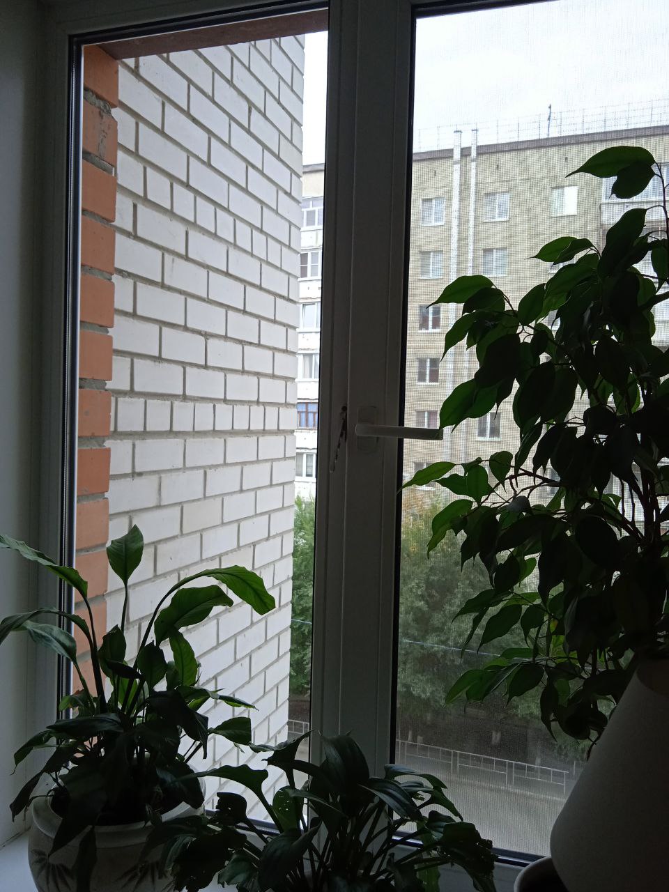 https://mytishchi.delaem-okna.ru/storage/app/uploads/public/63f/332/8c0/63f3328c0408d690824237.jpg