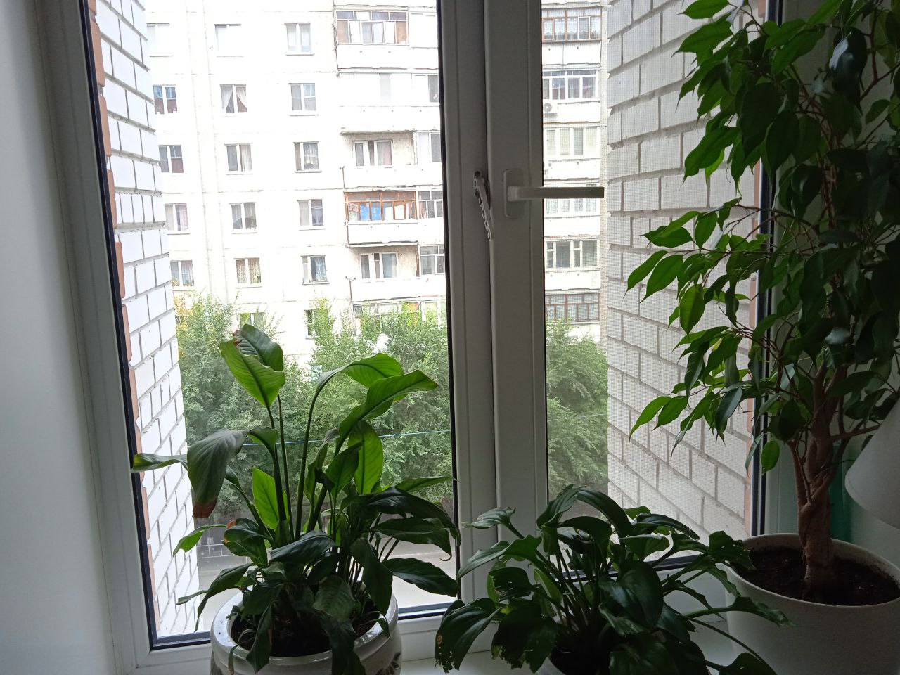 https://mytishchi.delaem-okna.ru/storage/app/uploads/public/63f/332/8c0/63f3328c0d6f7867060515.jpg